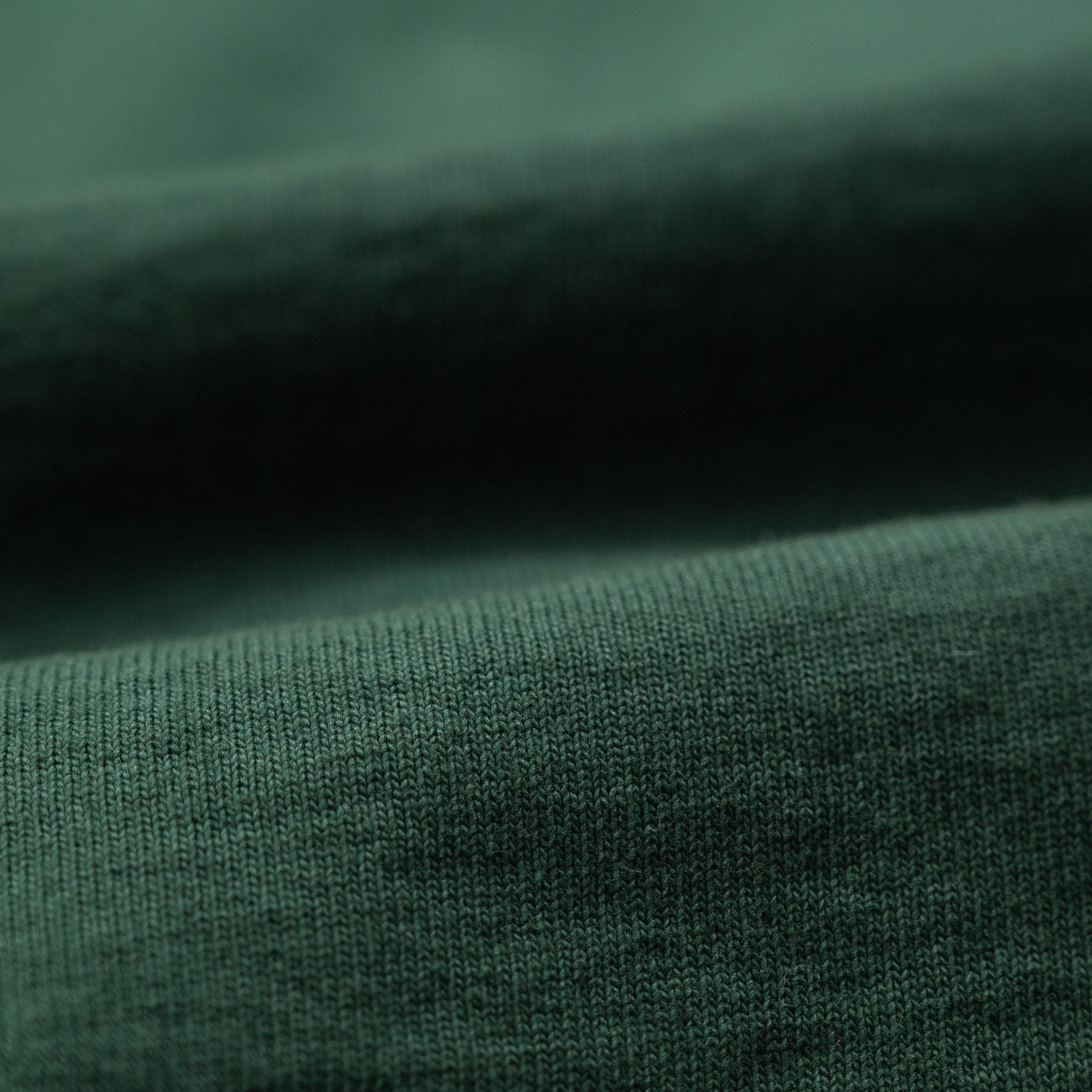 58001 Heavyweight LS Tee - Green