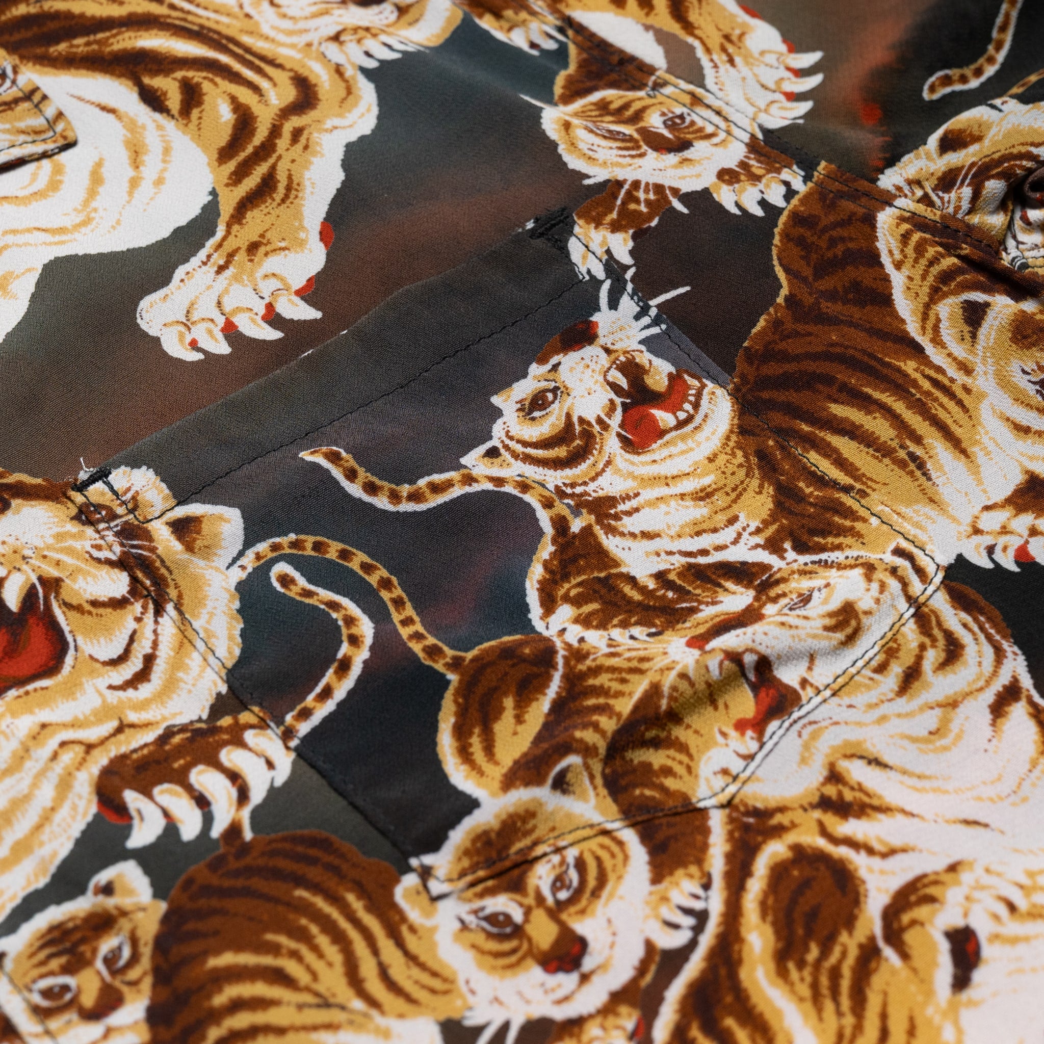 Cayucos Painted Tigers